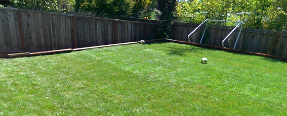 Landscaper Santa Cruz