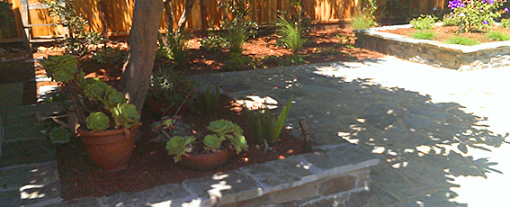 Santal Cruz Landscaping