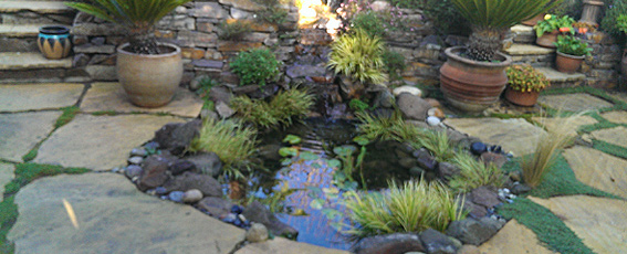 Santa Cruz Landscaping Services