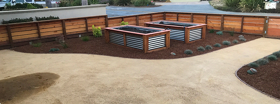 santa-cruz-landscaper-4