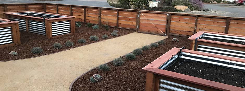 santa-cruz-landscaping-5